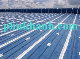 Thi công chống dột mái tôn nhà xưởng công ty TNHH ChuTex International (Long An)