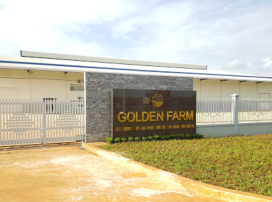 XỬ LÝ NỨT BÊ TÔNG SÀN NHÀ XƯỞNG CÔNG TY TNHH SX & TM GOLDEN FARM – CN ĐỒNG NAI.