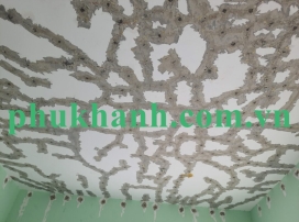 Nứt sàn bê tông, trần nhà bị nứt có nguy hiểm không?