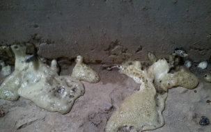 Xử lý rò rỉ bể nước Bảo Việt Tower