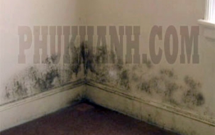 Xử lý chống thấm, chống ẩm mốc chân tường