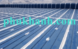 Thi công chống dột mái tôn nhà xưởng công ty TNHH ChuTex International (Long An)