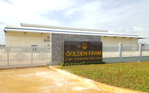 XỬ LÝ NỨT BÊ TÔNG SÀN NHÀ XƯỞNG CÔNG TY TNHH SX & TM GOLDEN FARM – CN ĐỒNG NAI.