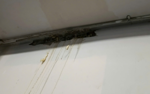 Dịch vụ xử lý bong tróc nền nhà xưởng BRVT triệt để