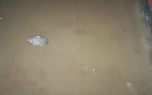 Xử lý khe co giãn CELADON CITY – Quận Tân Phú