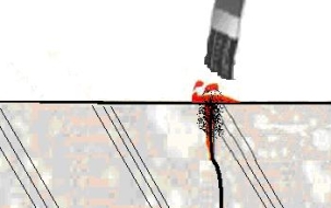 Xử lý nứt bê tông sàn hội chợ triển lãm SECC