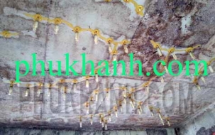 Xử lý nứt sàn bê tông khu căn hộ đô thị TP Mới Bình Dương