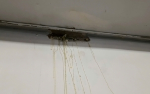 ĐỊA CHỈ CHUYÊN XỬ LÝ RÒ RỈ NƯỚC TẦNG HẦM TPHCM UY TÍN