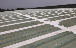 9 điều cần chú ý về chống thấm trong xây dựng và cải tại công trình