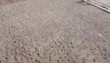 Nguyên nhân bê tông bị rỗ mặt