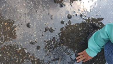 Đơn vị chuyên xử lý rò rỉ bể nước uy tín TPHCM