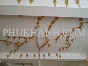 xu ly nut be tong san cu