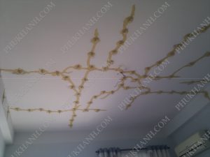 xu ly nut be tong san