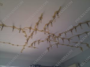 xu ly nut be tong san