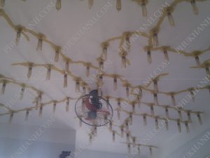 xu ly nut be tong san