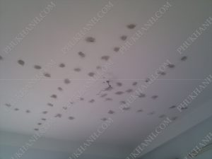 xu ly nut be tong san