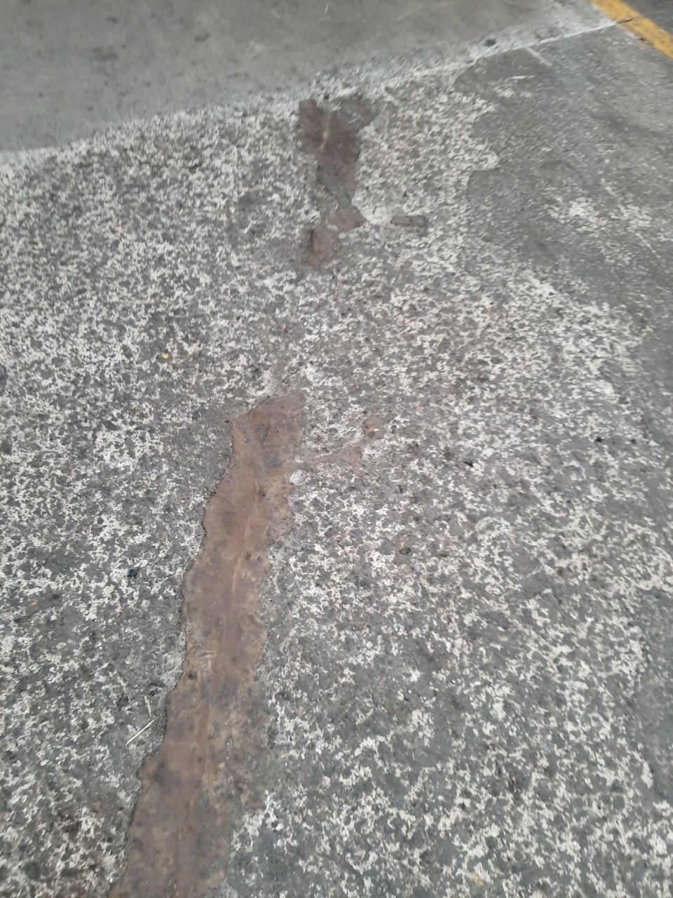 sơn epoxy nền nhà xưởng