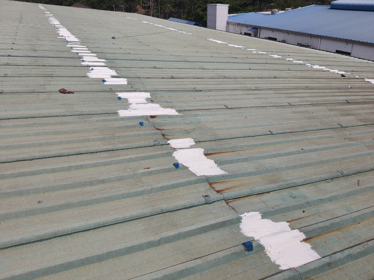 Thi công nền epoxy chống dột mái tôn nhà xưởng