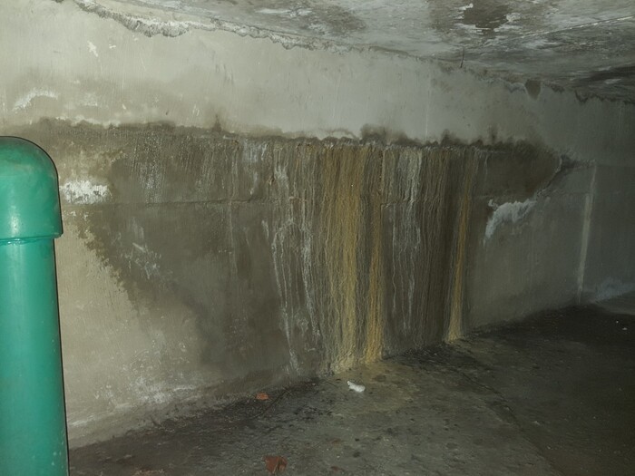 chống thấm bể nước